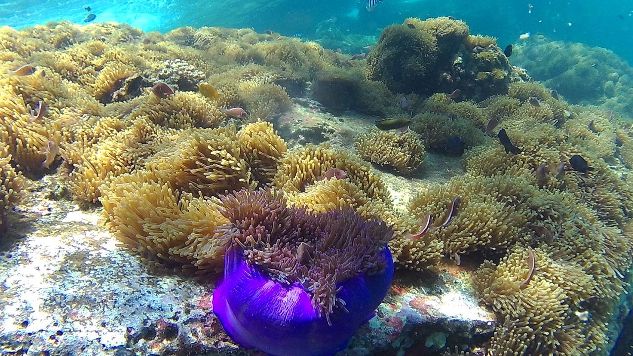 Green Adamas Resort チュンポーン エクステリア 写真